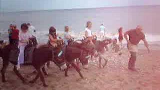 preview picture of video 'Donkey Ride at Bridlington.'