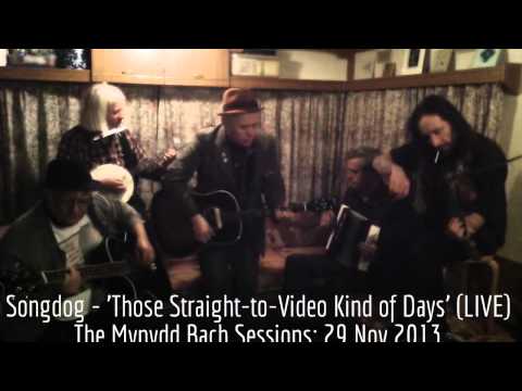 Songdog - 'Those Straight-to-Video Kind of Days' (LIVE) The Mynydd Bach Sessions: 29 Nov 2013