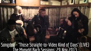 Songdog - 'Those Straight-to-Video Kind of Days' (LIVE) The Mynydd Bach Sessions: 29 Nov 2013