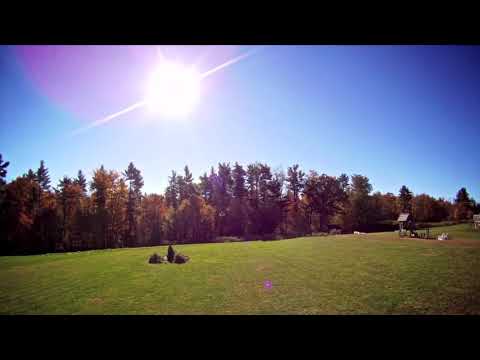 Finding Dylan Part 5 - The Drop Off/Argument