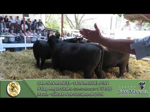 06-10-18 Venta de Vaq. Angus Grales, - Cab. San Manuel - Don Manuel e invitados - Rauch