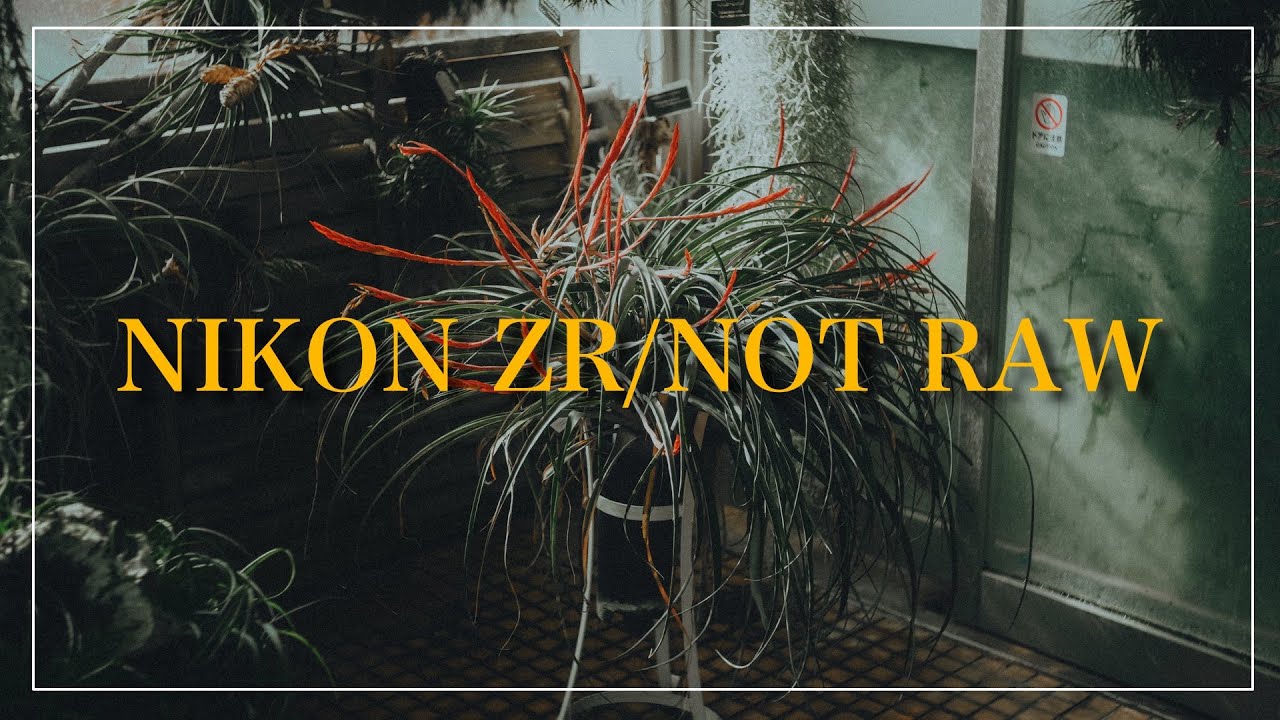 【ZR】イメージングレシピ優秀過ぎてRAWいらない説【POV】