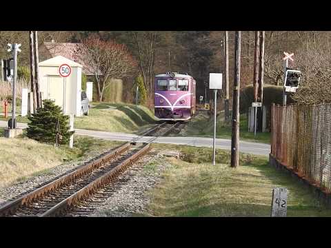 T47 019 - úzkokolejky JHMD (duben 2020) - přejezd zahradkářskou kolonií u Městského lesa v J.Hradci.