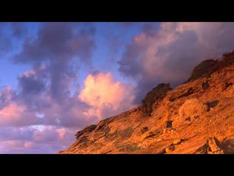 보이스코리아 2020 6회 황주호 vs 김지현 도망가자