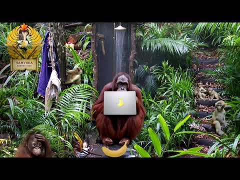 Zamunda Banana Band-  Ф'Найлона (official audio lyrics )