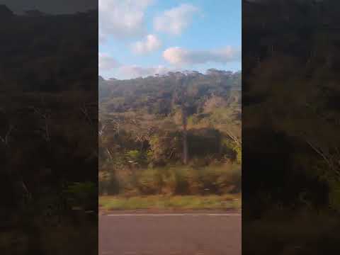 Pelas estradas de Carmópolis-SE.