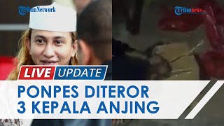 Ponpes Habib Bahar bin Smith Diteror Paket Berisi 3 Kepala Anjing, Pakar Forensik: Ada Pesan Maut