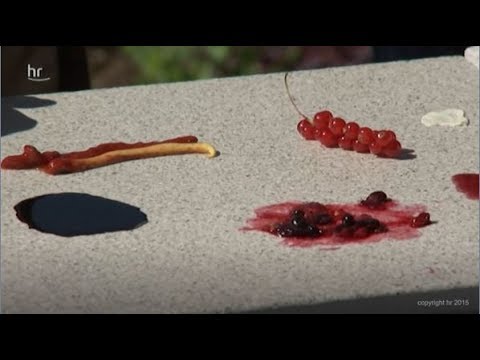 HR-Interview: Oberflächenschutz RSF 5 bei Rinn