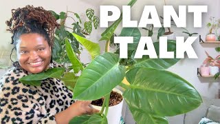 LIVESTREAM: Plant Talk