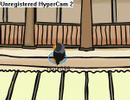 Pigloo - Le Ragga Des Pingouins-club penguin ...