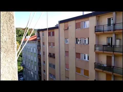 Video test Kazam Tornado 348