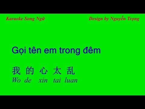 Karaoke Song Ngữ - Gọi tên em trong đêm - 我的心太乱 (D Min)