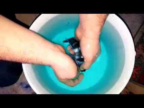 GİBERROSA BLUE ZAIRE MOBA KUSTURMA