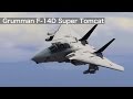 Grumman F-14D Super Tomcat для GTA 5 видео 6