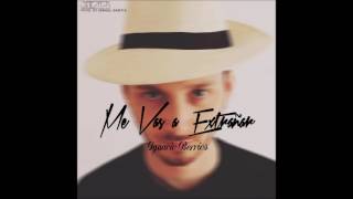 Me Vas A Extrañar (Banda MS) Lyrics English Translation