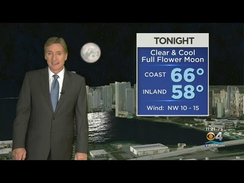 CBSMiami.com Weather 05-07-20 11PM