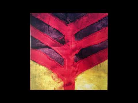 Yeah Yeah Yeahs - "Gold Lion"