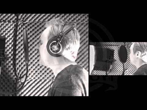 RosvoSektori - PAM 2013