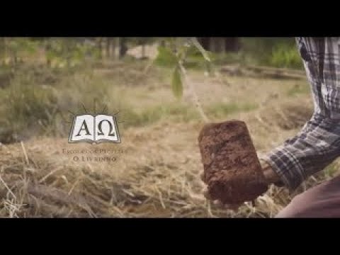 CM Brazil 2020 - 12. Tess Lambert. The End of Ancien Israel 2/3