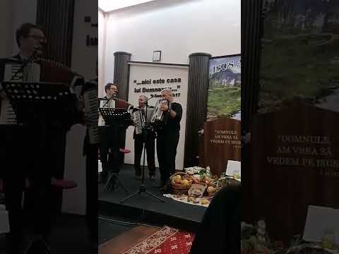 Nu-Ți cer nimic - Puiu Chibici, Dorin Cazacu & Costel Ciocoi