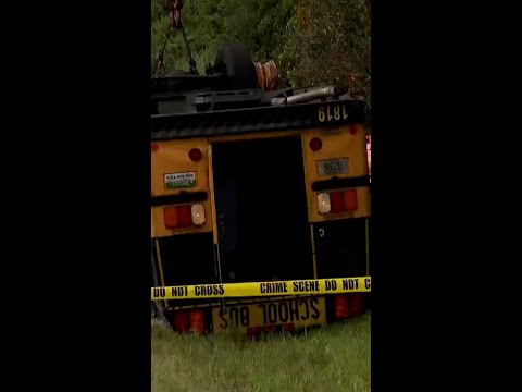 School bus crash kills two in Florida
