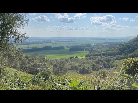 A bit of this and that, or just this.