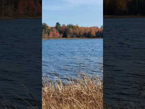 Fall Is In The Air #fall #fallcolors #upofmi #yooper #michigan #scenery #nature #Outdoors #natural