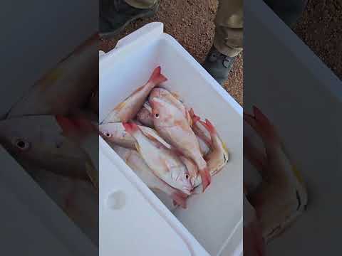 #nicaragua #Puerto cavesas