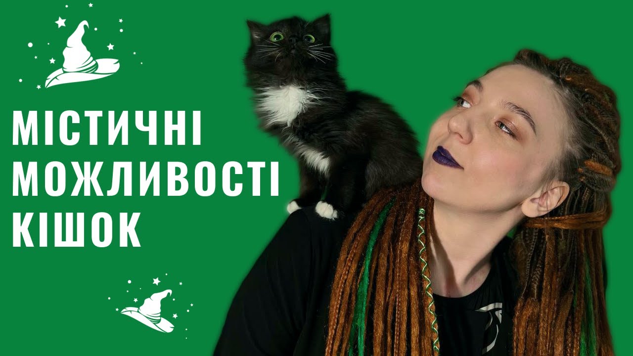 YouTube video preview