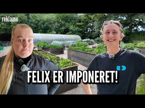 Keramikværkstedet er ENDELIG færdigt! | Livet på gården Ep. 97