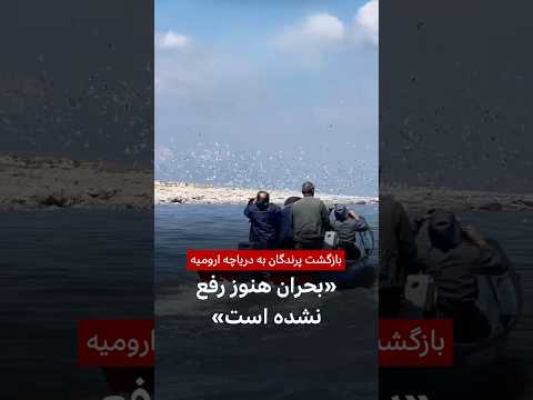بازگشت پرندگان به دریاچه ارومیه؛ «بحران هنوز رفع نشده است»