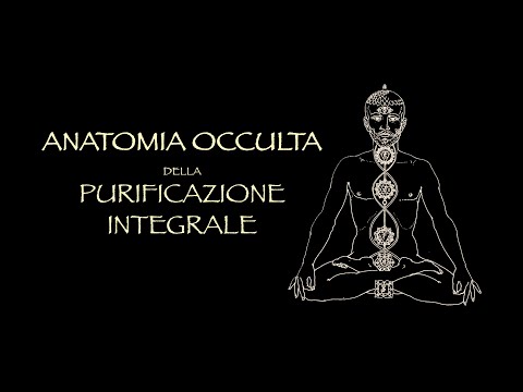Occult Anatomy of Integral Purification