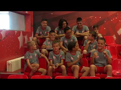 ZVEZDOLOGIJA 5 - Piksi vs. Brigate (prvo četvrtfinale)