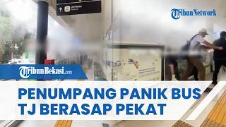 Detik-detik Mencekam Bus Transjakarta Mendadak Keluarkan Asap Pekat, Penumpang Panik Selamatkan Diri