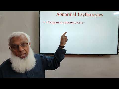 Anemia /Lecture No. 4 @MuhammadYousafPhysiology