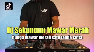 Download lagu DJ BUNGA MAWAR MERAH SATU TANDA CINTA TIKTOK REMIX FULL BASS - SEKUNTUM MAWAR MERAH mp3