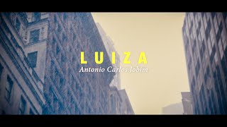LUIZA | Petros Klampanis group