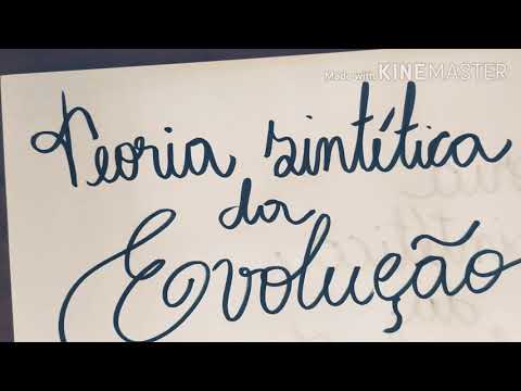 Teoria Sintética da Evolução - Neodarwinismo