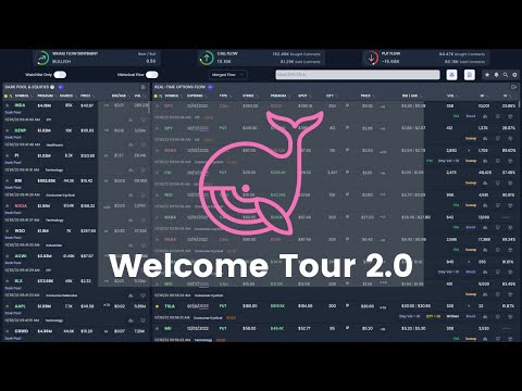 WhaleStream Option Flow