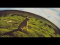 Mike Oldfield - Hergest Ridge (1974) Part 1 (Reversed)