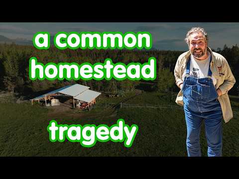 Neighbor's Two Homesteads: The Tale of a Triple Sale