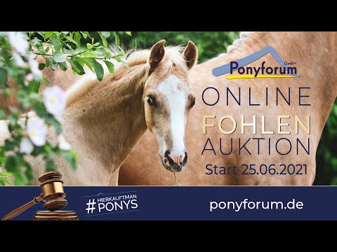 NEXT GLAMOURDALE SF v. FS Next Diamond / Cassini