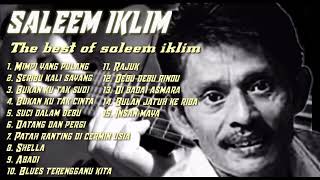 Download lagu SALEEM IKLIM, The best of Saleem iklim Album Kenangan. mp3