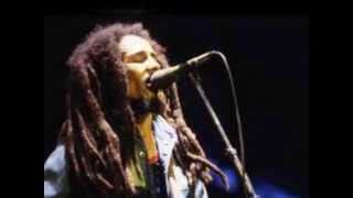 Bob marley red red wine