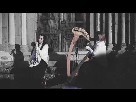 Elven Bird - the Ocean [live session with harp]