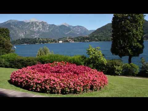 20 anni Target Immobiliare sas