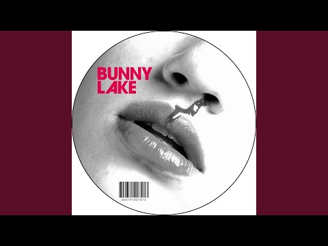 Christopher Just's Disco Demons Dub