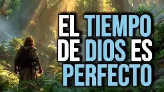 Trust in God, Everything Comes in Its Time, Don't Give Up - Christian Reflection