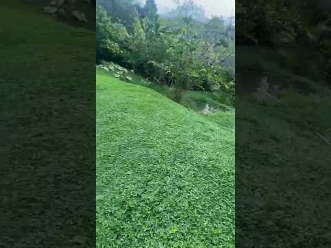 Nova Ibiá, paisagem natural. #vidanaroça #fazenda