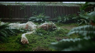 Johanna Warren - &quot;Bed Of Nails&quot; (Official Music Video)